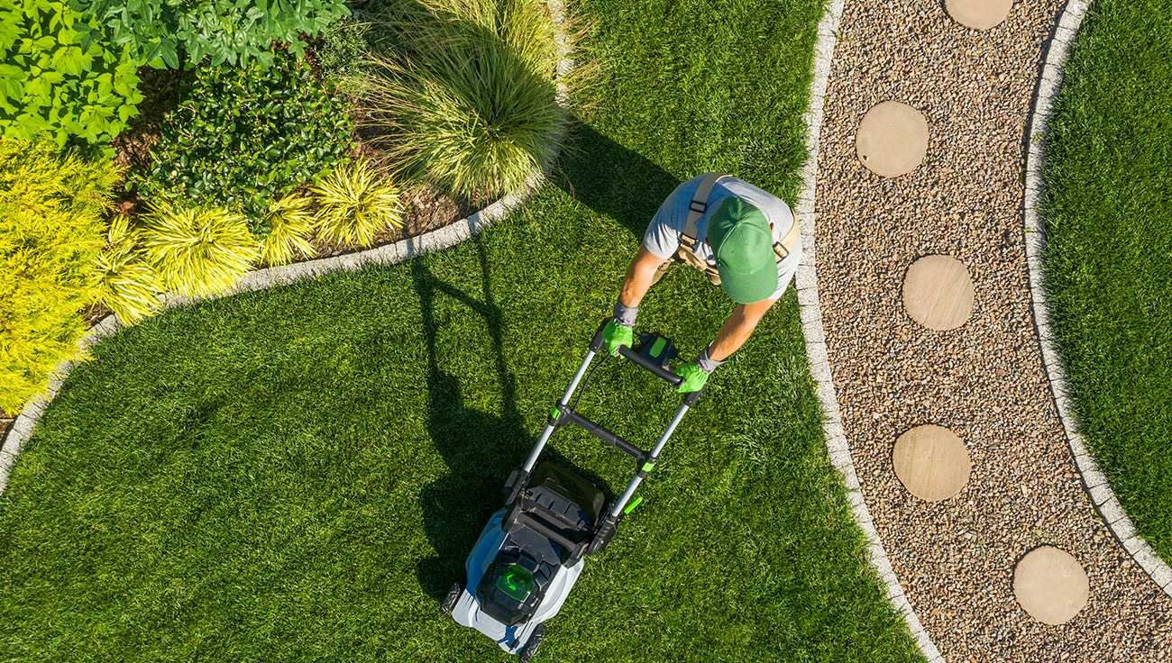 Overhead view of a person mowing a lawn beside a gravel path with round stepping stones.